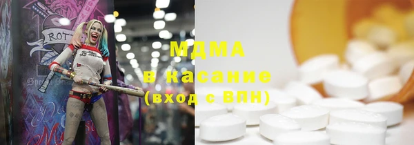 индика Бронницы